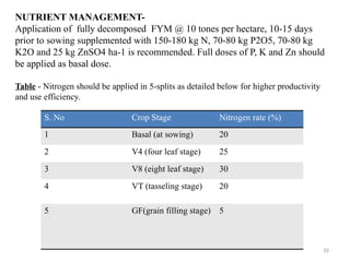 10
NUTRIENT MANAGEMENT-
Application of fully decomposed FYM @ 10 tones per hectare, 10-15 days
prior to sowing supplemented with 150-180 kg N, 70-80 kg P2O5, 70-80 kg
K2O and 25 kg ZnSO4 ha-1 is recommended. Full doses of P, K and Zn should
be applied as basal dose.
Table - Nitrogen should be applied in 5-splits as detailed below for higher productivity
and use efficiency.
S. No Crop Stage Nitrogen rate (%)
1 Basal (at sowing) 20
2 V4 (four leaf stage) 25
3 V8 (eight leaf stage) 30
4 VT (tasseling stage) 20
5 GF(grain filling stage) 5
 