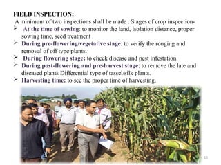 13
FIELD INSPECTION:
A minimum of two inspections shall be made . Stages of crop inspection-
 At the time of sowing: to monitor the land, isolation distance, proper
sowing time, seed treatment .
 During pre-flowering/vegetative stage: to verify the rouging and
removal of off type plants.
 During flowering stage: to check disease and pest infestation.
 During post-flowering and pre-harvest stage: to remove the late and
diseased plants Differential type of tassel/silk plants.
 Harvesting time: to see the proper time of harvesting.
 