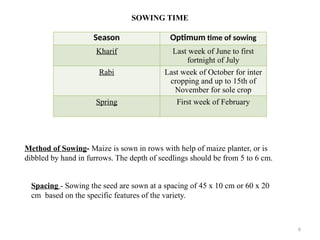 6
SOWING TIME
Season Optimum time of sowing
Kharif Last week of June to first
fortnight of July
Rabi Last week of October for inter
cropping and up to 15th of
November for sole crop
Spring First week of February
Spacing - Sowing the seed are sown at a spacing of 45 x 10 cm or 60 x 20
cm based on the specific features of the variety.
Method of Sowing- Maize is sown in rows with help of maize planter, or is
dibbled by hand in furrows. The depth of seedlings should be from 5 to 6 cm.
 