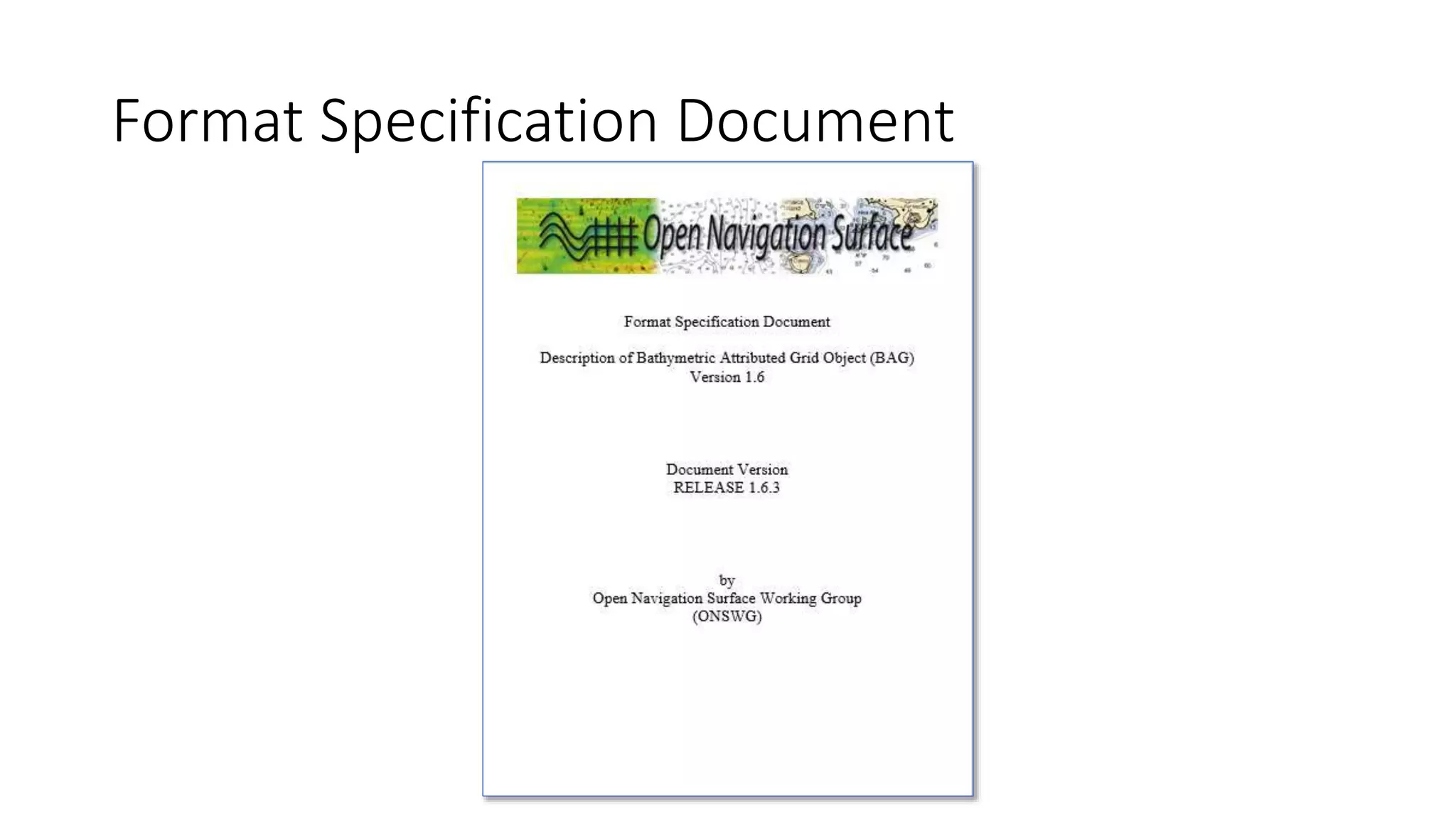 Format Specification Document
 