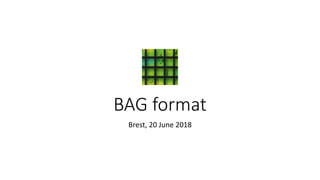 BAG format
Brest, 20 June 2018
 
