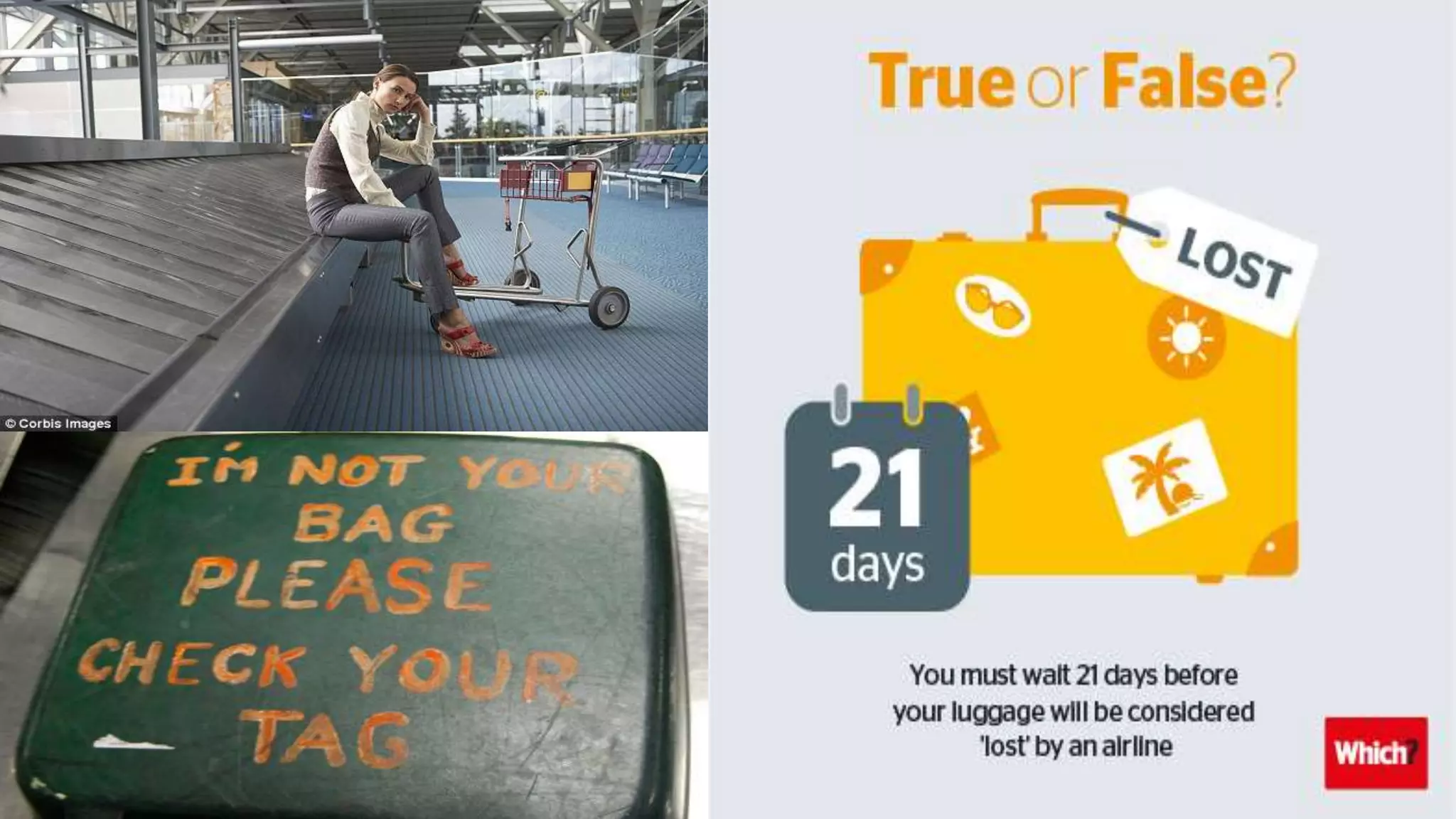 Baggage handling in Airports (sortation)