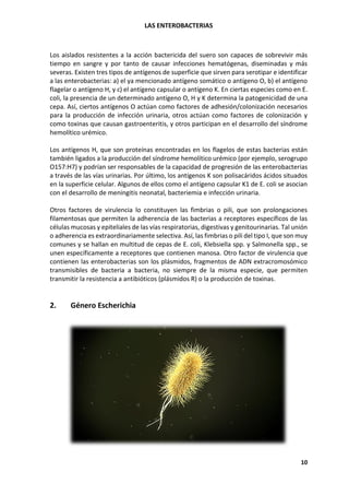LAS ENTEROBACTERIAS
10
Los aislados resistentes a la acción bactericida del suero son capaces de sobrevivir más
tiempo en sangre y por tanto de causar infecciones hematógenas, diseminadas y más
severas. Existen tres tipos de antígenos de superficie que sirven para serotipar e identificar
a las enterobacterias: a) el ya mencionado antígeno somático o antígeno O, b) el antígeno
flagelar o antígeno H, y c) el antígeno capsular o antígeno K. En ciertas especies como en E.
coli, la presencia de un determinado antígeno O, H y K determina la patogenicidad de una
cepa. Así, ciertos antígenos O actúan como factores de adhesión/colonización necesarios
para la producción de infección urinaria, otros actúan como factores de colonización y
como toxinas que causan gastroenteritis, y otros participan en el desarrollo del síndrome
hemolítico urémico.
Los antígenos H, que son proteínas encontradas en los flagelos de estas bacterias están
también ligados a la producción del síndrome hemolítico urémico (por ejemplo, serogrupo
O157:H7) y podrían ser responsables de la capacidad de progresión de las enterobacterias
a través de las vías urinarias. Por último, los antígenos K son polisacáridos ácidos situados
en la superficie celular. Algunos de ellos como el antígeno capsular K1 de E. coli se asocian
con el desarrollo de meningitis neonatal, bacteriemia e infección urinaria.
Otros factores de virulencia lo constituyen las fimbrias o pili, que son prolongaciones
filamentosas que permiten la adherencia de las bacterias a receptores específicos de las
células mucosas y epiteliales de las vías respiratorias, digestivas y genitourinarias. Tal unión
o adherencia es extraordinariamente selectiva. Así, las fimbrias o pili del tipo I, que son muy
comunes y se hallan en multitud de cepas de E. coli, Klebsiella spp. y Salmonella spp., se
unen específicamente a receptores que contienen manosa. Otro factor de virulencia que
contienen las enterobacterias son los plásmidos, fragmentos de ADN extracromosómico
transmisibles de bacteria a bacteria, no siempre de la misma especie, que permiten
transmitir la resistencia a antibióticos (plásmidos R) o la producción de toxinas.
2. Género Escherichia
 