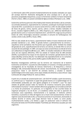 LAS ENTEROBACTERIAS
23
La información sobre STEC proviene fundamentalmente de estudios realizados con cepas
del serotipo O157:H7, fácilmente distinguible de otros serotipos de E. coli por sus
peculiares propiedades bioquímicas, ya que no fermentan sorbitol o lo hacen lentamente
(Farmer y Davis, 1985) y no poseen actividad de ßglucuronidasa (Thompson y col., 1990).
Escherichia coli forma parte de la flora habitual del intestino del hombre y de los animales.
Los animales domésticos, especialmente los rumiantes, constituyen el principal reservorio
natural de STEC. La prevalencia en vacunos oscila entre 0,1 y 16%. Ha sido aislado también
de heces de gansos, ovinos, equinos, perros, cabras y ciervos. Estudios realizados en
EE.UU., Canadá e Inglaterra (Wells y col., 1991; Chapman y col., 1993) han identificado al
ganado bovino como un reservorio importante de E. coli O157:H7, luego que los primeros
brotes de colitis hemorrágica estuvieron asociados al consumo de hamburguesas mal
cocidas y leche cruda, (Griffin y Tauxe, 1991).
STEC ha sido aislado de las heces y aparentemente habita el tracto intestinal del animal
portador (Sanderson y col., 1995). El ganado lechero y particularmente los terneros y
vaquillonas serían portadores más frecuentes que el ganado adulto. También fue aislado
del ganado de carne, específicamente de terneros con diarrea, en donde STEC no sería el
causante de esta patología. En 1987, una cepa con estas características se aisló de terneros
con colibacilosis en Argentina (Ørskov y col., 1987) . En estudios realizados en 720 animales
sanos de seis especies diferentes, STEC fue aislado en materia fecal de 208 animales
(28,9%). La prevalencia fue mayor en tres especies de rumiantes: ganado bovino (21,1%),
ovejas (66,6%)y carneros (56,1%). Fue detectado más esporádicamente en no rumiantes:
pollos (<0,799), cerdos (7,5%), perros (4,8%) y gatos (13,8%) (Beutin y col., 1993).
Recientes investigaciones confirman que los terneros son reservorios de la bacteria
Escherichia coli O157H:7, causante de enfermedades en humanos. El trabajo pertenece a
investigadores de las Facultades de Ciencias Veterinarias y de Bioquímica y Ciencias
Biológicas UNL (Universidad Nacional del Litoral). Concretamente, los investigadores se
propusieron “aislar E. coli O157:H7 de animales bovinos, y estudiar la relación
epidemiológica entre estas cepas y otras cepas aisladas de alimentos y casos clínicos”, bajo
la dirección del colega Profesor Dr. José Luis Otero.
A partir de un estudio de caracterización de E. coli O157:H7 aislados a partir de terneros,
se confirmó que es “importante el papel del ganado bovino en la epidemiología de las
enfermedades producidas por este agente patógeno en el hombre” y que “las cepas
aisladas de ganado poseían todos los factores de virulencia necesarios para producir
enfermedad en humanos”. Existen también diferencias geográficas en la incidencia del SUH
y su forma de presentarse. En particular, en la Argentina no han ocurrido brotes de
magnitud semejante a los de EE.UU. y la estadística señala más bien la aparición de
numerosos casos esporádicos. Contrariamente a lo esperado, el síndrome urémico
hemolítico, se presenta en niños de hogares con un buen nivel socioeconómico. Si bien se
registran casos durante todo el año, su frecuencia aumenta en la primavera, alcanzando un
máximo durante el verano, para luego decrecer hacia el otoño. La carne picada,
insuficientemente cocida, y los lácteos y jugos sin pasteurizar como el vehículo más
frecuente de brotes de ETA (Enfermedades Trasmitidas por Alimentos) causados por este
organismo.
 
