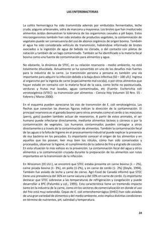 LAS ENTEROBACTERIAS
24
La colitis hemorrágica ha sido transmitida además por embutidos fermentados, leche
cruda, yogures artesanales, sidra de manzana y mayonesa. Los brotes que han involucrado
alimentos ácidos demuestran la tolerancia de los organismos causales a pH bajos. Estos
microorganismos también han sido aislados de productos vegetales, la contaminación de
vegetales puede ser consecuencia del uso de abonos orgánicos de origen bovino. También
el agua ha sido considerada vehículo de transmisión, habiéndose informado de brotes
asociados a la ingestión de agua de bebida no clorada, o del contacto con piletas de
natación y también de un lago contaminado. También se ha identificado a la materia fecal
bovina como una fuente de contaminación para alimentos y agua.
No obstante, la dinámica de STEC, en su relación reservorio - medio ambiente, no está
totalmente dilucidada. Actualmente se ha convertido en uno de los desafíos más fuertes
para la industria de la carne. La transmisión persona a persona es también una vía
importante para adquirir la infección debido a la baja dosis infectiva (50 – 100 ufc). Ingresa
al organismo por la ingesta de carne (especialmente mal cocida), o por otros alimentos que
hayan estado en contacto con la materia fecal de la vaca, como leche no pasteurizada,
verduras y frutas mal lavadas, aguas contaminadas, etc (Fuente: Escherichia coli
verotoxigénica (VTEC): su transmisión por alimentos - Ciencia Hoy Volumen 10 Nro. 55 -
Febrero / Marzo 2000).
En el esquema pueden apreciarse las vías de transmisión de E. coli verotoxigénica. Las
flechas que conectan las diversas figuras indican la dirección de la contaminación. El
principal reservorio es el ganado bovino pero otros animales como el cerdo o las mascotas
(perro, gato) pueden también actuar de reservorios. A partir de estos animales, el ser
humano puede infectarse directamente, mediante alimentos lácteos o cárneos o por la
contaminación de vegetales. Los humanos contaminados pueden contagiar a otros
directamente o a través de la contaminación de alimentos. También la contaminación fecal
de las aguas o la falta de higiene en el procesamiento industrial puede explicar la presencia
de esa bacteria en los pescados. Es importante conocer el origen de los alimentos y en
aquellos que los posean, leer muy bien los rótulos, cómo han sido conservados y
procesados, observar la higiene, el cumplimiento de la cadena de frío y el grado de cocción.
En esta situación lo más valioso es la prevención. La contaminación fecal del agua y otros
alimentos y la contaminación cruzada durante la preparación de los alimentos son rutas
importantes en la transmisión de la infección.
En Wisconsin (EE.UU.), se encontró que STEC estaba presente en carne bovina (1 – 2%),
carne picada bovina (1- 3%), en pollo (1-2%), y en carne de cerdo (1- 2%) (Doyle, 1994).
También fue aislado de leche y carne de ciervo. Agri-Food de Canadá informó que STEC
tiene una prevalencia del 36% en carne vacuna y del 10% en carne de cerdo. Es importante
destacar que STEC sobrevive a las temperaturas de refrigeración y congelación y puede
desarrollar a 8ºC (Palumbo y col., 1995). Esta característica tiene un tremendo impacto
tanto en la industria de la carne, como en los sectores de comercialización en donde el uso
del frío está muy extendido. Cepas de E. coli enterohemorrágica (EHEC) han sido aisladas
de una gran variedad de alimentos y del medio ambiente, esto implica distintas condiciones
en término de nutrientes, pH, salinidad y temperatura.
 