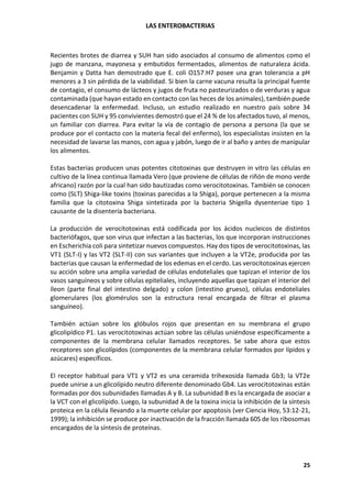 LAS ENTEROBACTERIAS
25
Recientes brotes de diarrea y SUH han sido asociados al consumo de alimentos como el
jugo de manzana, mayonesa y embutidos fermentados, alimentos de naturaleza ácida.
Benjamin y Datta han demostrado que E. coli O157:H7 posee una gran tolerancia a pH
menores a 3 sin pérdida de la viabilidad. Si bien la carne vacuna resulta la principal fuente
de contagio, el consumo de lácteos y jugos de fruta no pasteurizados o de verduras y agua
contaminada (que hayan estado en contacto con las heces de los animales), también puede
desencadenar la enfermedad. Incluso, un estudio realizado en nuestro país sobre 34
pacientes con SUH y 95 convivientes demostró que el 24 % de los afectados tuvo, al menos,
un familiar con diarrea. Para evitar la vía de contagio de persona a persona (la que se
produce por el contacto con la materia fecal del enfermo), los especialistas insisten en la
necesidad de lavarse las manos, con agua y jabón, luego de ir al baño y antes de manipular
los alimentos.
Estas bacterias producen unas potentes citotoxinas que destruyen in vitro las células en
cultivo de la línea continua llamada Vero (que proviene de células de riñón de mono verde
africano) razón por la cual han sido bautizadas como verocitotoxinas. También se conocen
como (SLT) Shiga-like toxins (toxinas parecidas a la Shiga), porque pertenecen a la misma
familia que la citotoxina Shiga sintetizada por la bacteria Shigella dysenteriae tipo 1
causante de la disentería bacteriana.
La producción de verocitotoxinas está codificada por los ácidos nucleicos de distintos
bacteriófagos, que son virus que infectan a las bacterias, los que incorporan instrucciones
en Escherichia coli para sintetizar nuevos compuestos. Hay dos tipos de verocitotoxinas, las
VT1 (SLT-I) y las VT2 (SLT-II) con sus variantes que incluyen a la VT2e, producida por las
bacterias que causan la enfermedad de los edemas en el cerdo. Las verocitotoxinas ejercen
su acción sobre una amplia variedad de células endoteliales que tapizan el interior de los
vasos sanguíneos y sobre células epiteliales, incluyendo aquellas que tapizan el interior del
íleon (parte final del intestino delgado) y colon (intestino grueso), células endoteliales
glomerulares (los glomérulos son la estructura renal encargada de filtrar el plasma
sanguíneo).
También actúan sobre los glóbulos rojos que presentan en su membrana el grupo
glicolipídico P1. Las verocitotoxinas actúan sobre las células uniéndose específicamente a
componentes de la membrana celular llamados receptores. Se sabe ahora que estos
receptores son glicolípidos (componentes de la membrana celular formados por lípidos y
azúcares) específicos.
El receptor habitual para VT1 y VT2 es una ceramida trihexosida llamada Gb3; la VT2e
puede unirse a un glicolípido neutro diferente denominado Gb4. Las verocitotoxinas están
formadas por dos subunidades llamadas A y B. La subunidad B es la encargada de asociar a
la VCT con el glicolípido. Luego, la subunidad A de la toxina inicia la inhibición de la síntesis
proteica en la célula llevando a la muerte celular por apoptosis (ver Ciencia Hoy, 53:12-21,
1999); la inhibición se produce por inactivación de la fracción llamada 60S de los ribosomas
encargados de la síntesis de proteínas.
 