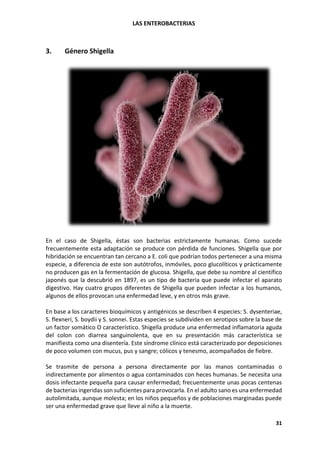 LAS ENTEROBACTERIAS
31
3. Género Shigella
En el caso de Shigella, éstas son bacterias estrictamente humanas. Como sucede
frecuentemente esta adaptación se produce con pérdida de funciones. Shigella que por
hibridación se encuentran tan cercano a E. coli que podrían todos pertenecer a una misma
especie, a diferencia de este son autótrofos, inmóviles, poco glucolíticos y prácticamente
no producen gas en la fermentación de glucosa. Shigella, que debe su nombre al científico
japonés que la descubrió en 1897, es un tipo de bacteria que puede infectar el aparato
digestivo. Hay cuatro grupos diferentes de Shigella que pueden infectar a los humanos,
algunos de ellos provocan una enfermedad leve, y en otros más grave.
En base a los caracteres bioquímicos y antigénicos se describen 4 especies: S. dysenteriae,
S. flexneri, S. boydii y S. sonnei. Estas especies se subdividen en serotipos sobre la base de
un factor somático O característico. Shigella produce una enfermedad inflamatoria aguda
del colon con diarrea sanguinolenta, que en su presentación más característica se
manifiesta como una disentería. Este síndrome clínico está caracterizado por deposiciones
de poco volumen con mucus, pus y sangre; cólicos y tenesmo, acompañados de fiebre.
Se trasmite de persona a persona directamente por las manos contaminadas o
indirectamente por alimentos o agua contaminados con heces humanas. Se necesita una
dosis infectante pequeña para causar enfermedad; frecuentemente unas pocas centenas
de bacterias ingeridas son suficientes para provocarla. En el adulto sano es una enfermedad
autolimitada, aunque molesta; en los niños pequeños y de poblaciones marginadas puede
ser una enfermedad grave que lleve al niño a la muerte.
 