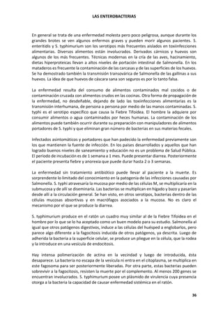 LAS ENTEROBACTERIAS
36
En general se trata de una enfermedad molesta pero poco peligrosa, aunque durante los
grandes brotes se ven algunos enfermos graves y pueden morir algunos pacientes. S.
enteritidis y S. typhimurium son los serotipos más frecuentes aislados en toxiinfecciones
alimentarias. Diversos alimentos están involucrados. Derivados cárnicos y huevos son
algunos de los más frecuentes. Técnicas modernas en la cría de las aves, hacinamiento,
dietas hiperproteicas llevan a altos niveles de portación intestinal de Salmonella. En los
mataderos es frecuente la contaminación de las carcasas y de las superficies de los huevos.
Se ha demostrado también la transmisión transovárica de Salmonella de las gallinas a sus
huevos. La idea de que huevos de cáscara sana son seguros es por lo tanto falsa.
La enfermedad resulta del consumo de alimentos contaminados mal cocidos o de
contaminación cruzada con alimentos crudos en las cocinas. Otra forma de propagación de
la enfermedad, no desdeñable, dejando de lado las toxiinfecciones alimentarias es la
transmisión interhumana, de persona a persona por medio de las manos contaminadas. S.
typhi es el serotipo específico que causa la Fiebre Tifoidea. El hombre la adquiere por
consumir alimentos o agua contaminados por heces humanas. La contaminación de los
alimentos puede también ocurrir durante su preparación con manipuladores de alimentos
portadores de S. typhi y que eliminan gran número de bacterias en sus materias fecales.
Infectados asintomáticos y portadores que han padecido la enfermedad previamente son
los que mantienen la fuente de infección. En los países desarrollados y aquellos que han
logrado buenos niveles de saneamiento y educación no es un problema de Salud Pública.
El período de incubación es de 1 semana a 1 mes. Puede presentar diarrea. Posteriormente
el paciente presenta fiebre y anorexia que puede durar hasta 2 o 3 semanas.
La enfermedad sin tratamiento antibiótico puede llevar al paciente a la muerte. Es
sorprendente lo limitado del conocimiento en la patogenia de las infecciones causadas por
Salmonella. S. typhi atravesaría la mucosa por medio de las células M, se multiplicaría en la
submucosa y de allí se diseminaría. Las bacterias se multiplican en hígado y bazo y pasarían
desde allí a la circulación general. Se han visto, en otros serotipos, bacterias dentro de las
células mucosas absortivas y en macrófagos asociados a la mucosa. No es claro el
mecanismo por el que se produce la diarrea.
S. typhimurium produce en el ratón un cuadro muy similar al de la Fiebre Tifoidea en el
hombre por lo que se lo ha aceptado como un buen modelo para su estudio. Salmonella al
igual que otros patógenos digestivos, induce a las células del huésped a englobarlos, pero
parece algo diferente a la fagocitosis inducida de otros patógenos, ya descrita. Luego de
adherida la bacteria a la superficie celular, se produce un pliegue en la célula, que la rodea
y la introduce en una vesícula de endocitosis.
Hay intensa polimerización de actina en la vecindad y luego de introducida, ésta
desaparece. La bacteria no escapa de la vesícula ni entra en el citoplasma, se multiplica en
este fagosoma para ser posteriormente liberadas. Por otra parte, estas bacterias pueden
sobrevivir a la fagocitosis, resisten la muerte por el complemento. Al menos 200 genes se
encuentran involucrados. S. typhimurium posee un plásmido de virulencia cuya presencia
otorga a la bacteria la capacidad de causar enfermedad sistémica en el ratón.
 