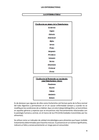 LAS ENTEROBACTERIAS
4
Es de destacar que algunos de ellos como Escherichia coli forman parte de la flora normal
del tubo digestivo y permanecen en él sin causar enfermedad siempre y cuando no se
modifiquen las condiciones de su hábitat. Aquí, en este trabajo bibliográfico, se hará énfasis
en aquellos géneros y especies que se encuentran más frecuentemente relacionados con
la patología humana y animal, en el marco de las ETA (Enfermedades transmitidas por los
alimentos).
Se utilizan como un indicador de calidad microbiológica para alimentos que hayan recibido
tratamientos determinados para hacerlos inocuos. Su presencia en un número significativo,
indicará un fallo y consecuentemente un riesgo para el consumidor.
 