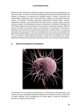 LAS ENTEROBACTERIAS
42
Muchas de estas infecciones se obtienen cuando una persona está en el hospital por una
cierta otra razón. La infección más común causada por las bacterias de Klebsiella fuera del
hospital es pulmonía. La pulmonía por Klebsiella tiende a afectar a pacientes con
enfermedades subyacentes, tales como alcoholismo, diabetes y enfermedad pulmonar
crónica. Las personas infectadas desarrollan generalmente elevada fiebre, síntomas
semejantes a la gripe y una tos productiva de mucho mucus. El esputo estará a menudo
teñido con sangre. La mortalidad por pulmonía a Klebsiella es el alrededor 50% debido a la
enfermedad subyacente que tiende para estar presente en personas afectadas. Mientras
que son normales en pulmonías típicas las resoluciones sin complicación, la pulmonía a
Klebsiella causa con frecuencia la destrucción del pulmón y “bolsillos de pus” en el pulmón
(conocido como abscesos). El índice de mortalidad para estos casos es de alrededor del
90%. Puede también haber pus que rodee al pulmón (conocido como empiema), que puede
ser muy irritante al tejido pulmonar delicado y puede causar finalmente una cicatriz.
Klebsiella es finalmente una parte de la vida normal y viven en el interior de todos nosotros.
6. Género Enterobacter (Cronobacter)
El Enterobacter es una bacteria perteneciente a la familia de las Enterobacterias, que
contiene una serie de especies bacterianas halladas en el intestino humano y animal y en
el medio ambiente. Este microorganismo ha estado ligado a brotes de meningitis o
enteritis, en especial en los lactantes.
 