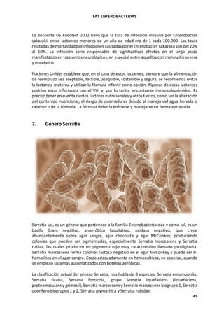 LAS ENTEROBACTERIAS
45
La encuesta US FoodNet 2002 halló que la tasa de infección invasiva por Enterobacter
sakazakii entre lactantes menores de un año de edad era de 1 cada 100.000. Las tasas
relatadas de mortalidad por infecciones causadas por el Enterobacter sakazakii son del 20%
al 50%. La infección sería responsable de significativos efectos en el largo plazo
manifestados en trastornos neurológicos, en especial entre aquellos con meningitis severa
y encefalitis.
Naciones Unidas establece que, en el caso de estos lactantes, siempre que la alimentación
de reemplazo sea aceptable, factible, asequible, sostenible y segura, se recomienda evitar
la lactancia materna y utilizar la fórmula infantil como opción. Algunos de estos lactantes
podrían estar infectados con el VIH y, por lo tanto, encontrarse inmunodeprimidos. Es
preciso tener en cuenta ciertos factores nutricionales y otros tantos, como ser la alteración
del contenido nutricional, el riesgo de quemaduras debido al manejo del agua hervida o
caliente o de la fórmula. La fórmula debería enfriarse y manejarse en forma apropiada.
7. Género Serratia
Serratia sp., es un género que pertenece a la familia Enterobacteriaceae y como tal, es un
bacilo Gram negativo, anaeróbico facultativo, oxidasa negativo, que crece
abundantemente sobre agar sangre, agar chocolate y agar McConkey, produciendo
colonias que pueden ser pigmentadas, especialmente Serratia marcescens y Serratia
rubias, las cuales producen un pigmento rojo muy característico llamado prodigiosita.
Serratia marcescens forma colonias lactosa negativo en el agar McConkey y puede ser B-
hemolítica en el agar sangre. Crece adecuadamente en hemocultivos, en especial, cuando
se emplean sistemas automatizados con botellas aeróbicas.
La clasificación actual del género Serratia, nos habla de 8 especies: Serratia entomophila,
Serratia ficaria, Serratia fonticola, grupo Serratia liquefaciens (liquefaciens,
proteamaculans y grimesii), Serratia marcescens y Serratia marcescens biogrupo 1, Serratia
odorífero biogrupos 1 y 2, Serratia plymuthica y Serratia rubidae.
 