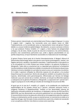LAS ENTEROBACTERIAS
48
10. Género Proteus
Proteus penneri, denominado con anterioridad como Proteus vulgaris biogrupo 1 o como
P. vulgaris indol – negativo, fue reconocido como una especie nueva en 1982.
Tradicionalmente, se ha considerado como un representante menor del género Proteus
debido a su escasa incidencia epidemiológica. No obstante, se asocia a procesos similares
a los que producen Proteus mirabilis o P. vulgaris y tiene factores de patogenicidad
análogos a los de éstos. Desde el punto de vista de la resistencia a los antimicrobianos,
presenta unas características particulares que, unido a algunas peculiaridades en sus
perfiles bioquímicos, le hacen fácilmente reconocible en el laboratorio de microbiología.
El género Proteus forma parte de la familia Enterobacteriaceae. El Bergey’s Manual of
Deteminative Bacteriology define este género como bacilos gramnegativos, móviles, con
flagelos perítricos, aerobios y facultativos anaerobios. Tradicionalmente a este género se
le ha encuadrado en la tribu Proteae que incluye también a los géneros Providencia y
Morganella. Todos ellos se caracterizan por su capacidad para desaminar la fenilalanina
transformándola en ácido fenilpirúvico debido a la producción de fenilalanina desaminasa,
hidrolizar la tirosina, desdoblar en casi todos los casos la urea y ser resistentes a la colistina.
En la tabla 1 aparecen reflejadas las diferentes especies de este género y las pruebas
bioquímicas que les caracterizan. Dentro de este género, también se encuadran otras tres
especies, denominadas como genomoespecies, diferenciadas por técnicas de biología
molecular y que aún carecen de un nombre. Asimismo, se incluyen las diferentes especies
y subespecies de los géneros Providencia y Morganella. La separación de P. penneri de P.
vulgaris se propuso en el año 1982 por estudios de homología de secuencia de DNA.
Al igual que en el caso de P. mirabilis y P. vulgaris, se ha establecido una clasificación
epidemiológica de los aislados clínicos de P. penneri, utilizando antisueros frente a
antígenos somáticos O (lipopolisacárido). También se han desarrollado sistemas de
tipificación utilizando proteínas de membrana, el ribotipado y técnicas de PCR (rep-PCR y
RAPD-PCR), que han demostrado una estructura poblacional con una elevada diversidad.
El reconocimiento inicial en las placas de cultivo de los microorganismos adscritos al género
Proteus es relativamente sencillo, ya que se caracterizan por su crecimiento en ondas en la
superficie del agar, bien formado círculos concéntricos a partir de un botón de inoculación
o con una película uniforme. Este efecto se conoce como swarming.
 