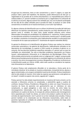 LAS ENTEROBACTERIAS
50
Al igual que los anteriores, tiene un olor característico y, como P. vulgaris, es capaz de
producir indol a partir del triptófano. No obstante, puede diferenciarse de éste por su
negatividad en las pruebas de la ornitina decarboxilasa y su imposibilidad para utilizar la
maltosa (tabla 1). P. penneri también se caracteriza por su negatividad en la utilización de
la salicina y la esculina. Algunos autores han señalado que, tras una incubación prolongada
de tres días de los caldos utilizados para la prueba de indol, se produce un color verde
característico al revelarlo con el reactivo de Kovacs y no el color rojo habitual.
En algunos sistemas de identificación que no utilizan inicialmente la prueba del indol para
diferenciar las distintas enterobacterias, puede producirse una falsa identificación de P.
penneri como P. mirabilis. En estos casos, puede también utilizarse como criterio
diferenciador el fenotipo de sensibilidad a los antibióticos ß – lactamicos. Proteus penneri
es naturalmente resistente a la amoxicilina y la cefuroxima, mientras que P. mirabilis puede
ser sensible o resistente a la amoxicilina, pero habitualmente sensible a la cefuroxima (con
la excepción de las cepas que producen ß – lactamasas de espectro extendido (BLEE)).
En general la eficiencia en la identificación del género Proteus que realizan los sistemas
comerciales automáticos y las galerías de identificación, habitualmente utilizadas en los
laboratorios de microbiología, es superior al 95% cuando se considera el género en su
conjunto. No hay descritos problemas específicos asociados a P. penneri que no sean los
reseñados con anterioridad. Tan sólo se describen problemas importantes con Proteus
hauseri, extremadamente infrecuente en el laboratorio de Microbiología Clínica. Este
último estaba anteriormente encuadrado como un subgrupo de P. vulgaris, aunque puede
diferenciarse fenotípicamente de éste por su resultado negativo en la utilización de salicina
o esculina. Con otros microorganismos cercanos, Morganella y Providencia, la eficiencia en
la identificación puede ser inferior al 80%, sobre todo cuando se consideran las especies
más infrecuentes en el laboratorio.
El género Proteus está ampliamente difundido en la naturaleza y forma parte de la
microbiota intestinal. Se ha aislado en muestras ambientales, incluyendo tierras, abonos y
aguas contaminadas, y en una gran variedad de muestras de animales. Proteus myxofaciens
sólo ha sido aislado en insectos. Entre todas las especies que pertenecen a este género es
sin duda P. mirabilis la especie más común, seguido de P. vulgaris.
Proteus penneri ha sido aislado mayoritariamente en muestras del tracto urinario y se ha
asociado a infecciones urinarias no complicadas, a pielonefritis aguda y cuadros de
urolitiasis. Aunque Proteus, Providencia y Morganella se aíslan con mayor frecuencia en
muestras de heces de pacientes con gastroenteritis que en individuos sin esta
complicación, su papel patogénico a este nivel es incierto. De entre todos los
microorganismos relacionados, sólo ha sido sugerida la implicación de Providencia
alcalifaciens en cuadros de diarrea. En ensayos de cultivos celulares este microorganismo
tiene capacidad para invadir las células, así como la de producir cuadros de diarrea en
animales de experimentación. Con P. penneri no se han realizado estos estudios. Proteus
penneri también se ha relacionado con las infecciones nosocomiales, sobre todo en
pacientes ingresados en unidades de cuidados intensivos o con factores de riesgo como
diabetes o inmunosupresión.
 