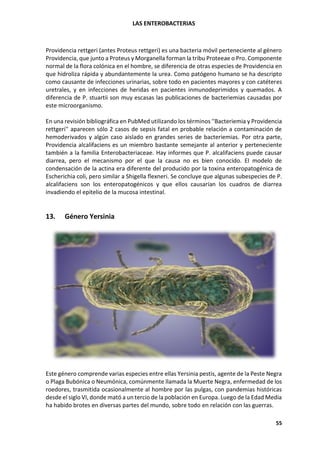 LAS ENTEROBACTERIAS
55
Providencia rettgeri (antes Proteus rettgeri) es una bacteria móvil perteneciente al género
Providencia, que junto a Proteus y Morganella forman la tribu Proteeae o Pro. Componente
normal de la flora colónica en el hombre, se diferencia de otras especies de Providencia en
que hidroliza rápida y abundantemente la urea. Como patógeno humano se ha descripto
como causante de infecciones urinarias, sobre todo en pacientes mayores y con catéteres
uretrales, y en infecciones de heridas en pacientes inmunodeprimidos y quemados. A
diferencia de P. stuartii son muy escasas las publicaciones de bacteriemias causadas por
este microorganismo.
En una revisión bibliográfica en PubMed utilizando los términos ''Bacteriemia y Providencia
rettgeri'' aparecen sólo 2 casos de sepsis fatal en probable relación a contaminación de
hemoderivados y algún caso aislado en grandes series de bacteriemias. Por otra parte,
Providencia alcalifaciens es un miembro bastante semejante al anterior y perteneciente
también a la familia Enterobacteriaceae. Hay informes que P. alcalifaciens puede causar
diarrea, pero el mecanismo por el que la causa no es bien conocido. El modelo de
condensación de la actina era diferente del producido por la toxina enteropatogénica de
Escherichia coli, pero similar a Shigella flexneri. Se concluye que algunas subespecies de P.
alcalifaciens son los enteropatogénicos y que ellos causarían los cuadros de diarrea
invadiendo el epitelio de la mucosa intestinal.
13. Género Yersinia
Este género comprende varias especies entre ellas Yersinia pestis, agente de la Peste Negra
o Plaga Bubónica o Neumónica, comúnmente llamada la Muerte Negra, enfermedad de los
roedores, trasmitida ocasionalmente al hombre por las pulgas, con pandemias históricas
desde el siglo VI, donde mató a un tercio de la población en Europa. Luego de la Edad Media
ha habido brotes en diversas partes del mundo, sobre todo en relación con las guerras.
 