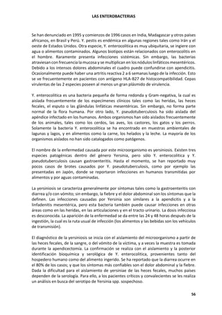 LAS ENTEROBACTERIAS
56
Se han denunciado en 1995 y comienzos de 1996 casos en India, Madagascar y otros países
africanos, en Brasil y Perú. Y. pestis es endémica en algunas regiones tales como Irán y el
oeste de Estados Unidos. Otra especie, Y. enterocolitica es muy ubiquitaria, se ingiere con
agua o alimentos contaminados. Algunos biotipos están relacionados con enterocolitis en
el hombre. Raramente presenta infecciones sistémicas. Sin embargo, las bacterias
atraviesan con frecuencia la mucosa y se multiplican en los nódulos linfáticos mesentéricos.
Debido a los intensos dolores abdominales el cuadro puede confundirse con apendicitis.
Ocasionalmente puede haber una artritis reactiva 2 a 6 semanas luego de la infección. Esto
se ve frecuentemente en pacientes con antígeno HLA-B27 de histocompatibilidad. Cepas
virulentas de las 2 especies poseen al menos un gran plásmido de virulencia.
Y. enterocolitica es una bacteria pequeña de forma redonda y Gram-negativa, la cual es
aislada frecuentemente de los especímenes clínicos tales como las heridas, las heces
fecales, el esputo o las glándulas linfáticas mesentéricas. Sin embargo, no forma parte
normal de la flora humana. Por otro lado, Y. pseudotuberculosis ha sido aislada del
apéndice infectado en los humanos. Ambos organismos han sido aislados frecuentemente
de los animales, tales como los cerdos, las aves, los castores, los gatos y los perros.
Solamente la bacteria Y. enterocolitica se ha encontrado en muestras ambientales de
lagunas y lagos, y en alimentos como la carne, los helados y la leche. La mayoría de los
organismos aislados no han sido catalogados como patógenos.
El nombre de la enfermedad causada por este microorganismo es yersiniosis. Existen tres
especies patogénicas dentro del género Yersinia, pero sólo Y. enterocolitica y Y.
pseudotuberculosis causan gastroenteritis. Hasta el momento, se han reportado muy
pocos casos de brotes causados por Y. pseudotuberculosis, como por ejemplo las
presentadas en Japón, donde se reportaron infecciones en humanos transmitidas por
alimentos y por aguas contaminadas.
La yersiniosis se caracteriza generalmente por síntomas tales como la gastroenteritis con
diarrea y/o con vómito; sin embargo, la fiebre y el dolor abdominal son los síntomas que la
definen. Las infecciones causadas por Yersinia son similares a la apendicitis y a la
linfadenitis mesentérica, pero esta bacteria también puede causar infecciones en otras
áreas como en las heridas, en las articulaciones y en el tracto urinario. La dosis infecciosa
es desconocida. La aparición de la enfermedad se da entre las 24 y 48 horas después de la
ingestión, la cual es la ruta usual de infección (los alimentos y las bebidas son los vehículos
de transmisión).
El diagnóstico de la yersiniosis se inicia con el aislamiento del microorganismo a partir de
las heces fecales, de la sangre, o del vómito de la víctima, y a veces la muestra es tomada
durante la apendicectomía. La confirmación se realiza con el aislamiento y la posterior
identificación bioquímica y serológica de Y. enterocolitica, provenientes tanto del
hospedero humano como del alimento ingerido. Se ha reportado que la diarrea ocurre en
el 80% de los casos; y que los síntomas más confiables son el dolor abdominal y la fiebre.
Dada la dificultad para el aislamiento de yersiniae de las heces fecales, muchos países
dependen de la serología. Para ello, a los pacientes críticos y convalecientes se les realiza
un análisis en busca del serotipo de Yersinia spp. sospechoso.
 