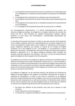 LAS ENTEROBACTERIAS
6
✓ La investigación de la fermentación de azucares o alcoholes en un medio peptonado
con el agregado de un indicador de pH para detectar la producción de metabolitos
ácidos.
✓ La investigación de la utilización de un substrato como única fuente de C.
✓ La investigación de producción de ciertas enzimas sobre substratos generadores de
color.
✓ La investigación de la producción de un metabolito, producto final característico de
una vía metabólica.
✓ e. La investigación de la aptitud de desarrollar en presencia de un inhibidor.
Los microorganismos pertenecientes a la Familia Enterobacteriaceae poseen una
estructura antigénica compleja. Los antígenos O, o antígenos somáticos, son la parte más
externa del LPS y están formados por unidades polisacarídicas repetidas. Algunos
contienen un único azúcar. Son termoestables y alcoholestables detectándose por
aglutinación simple.
La naturaleza de los grupos terminales y el orden en que estos azucares están dispuestos
en las unidades repetitivas determina la especificidad de los numerosos antígenos O. Un
mismo microorganismo puede poseer varios antígenos O. Cada género está asociado a
grupos antigénicos específicos, por ejemplo, la mayoría de los serotipos de Shigella
comparten uno o más antígenos O con E. coli (Shigella y E. coli pertenecen al mismo
género). Por otra parte E. coli puede tener reacciones cruzadas con especies de los géneros
Klebsiella y Salmonella. En E. coli algunos antígenos somáticos están asociados con
fenotipos virulentos específicos, por ejemplo E. coli O:111 y O:119 son frecuentemente
agentes etiológicos de diarrea aguda en los niños pequeños.
Los antígenos K son externos a los antígenos O. Algunos constituyen una verdadera cápsula
visible al microscopio como sucede con Klebsiella, mientras que en E. coli por ejemplo su
estructura no es visible al microscopio óptico y se los denomina antígenos de envoltura por
comportarse como si envolvieran la bacteria volviendo inaglutinable el antígeno O de la
pared. Son de naturaleza polisacarídica. Otros antígenos de envoltura, pero de naturaleza
proteica se presentan como fimbrias.
Los antígenos H, flagelares, son de naturaleza proteica. Esta proteína que constituye los
flagelos es llamada flagelina. Este antígeno es termolábil y destruido por el alcohol. El
contenido de aminoácidos y el orden en que estos se encuentran en las flagelinas
determina la especificidad de los diversos antígenos. Como ya fue mencionado los flagelos
bacterianos están compuestos de un solo tipo de proteína. En Salmonella existe variación
de fase. Como resultado de ello, la proteína flagelar puede ser de dos tipos por medio de
un mecanismo de regulación genética (inversión sitio específico), que involucra:
✓ Dos genes que codifican las dos proteínas, pero solo uno se expresa en cada
momento;
✓ Un gen represor de uno de estos genes y
✓ La inversión de un segmento de DNA que modifica la dirección de la transcripción.
 