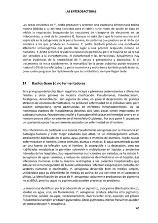 LAS ENTEROBACTERIAS
60
Las cepas virulentas de Y. pestis producen y secretan una exotoxina denominada toxina
murina (debido a su extrema toxicidad para el ratón), cuyo modo de acción se basa en
inhibir la respiración, bloqueando las reacciones de transporte de electrones en las
mitocondrias, a nivel de la coenzima Q. Aunque no está claro que la toxina murina esté
implicada en la patogénesis de la peste humana, los síntomas que produce en el ratón son
similares a los que produce en humanos. Y. pestis también produce una endotoxina
altamente inmunogénica que puede dar lugar a una potente respuesta inmune en
humanos. Y. pestis presenta resistencia natural a la penicilina, pero la mayoría de las cepas
son sensibles a la estreptomicina, el cloranfenicol y las tetraciclinas. Actualmente hay
ciertas evidencias de la sensibilidad de Y. pestis a gentamicina y doxiciclina. Si el
tratamiento se inicia rápidamente, la mortalidad de la peste bubónica puede reducirse
hasta el 1-5% de los infectados. La peste neumónica y septicémica también puede tratarse,
pero suelen progresar tan rápidamente que los antibióticos siempre llegan tarde.
14. Bacilos Gram (-) no fermentadores
Este gran grupo de bacilos Gram negativos incluye a gérmenes pertenecientes a diferentes
familias y otros géneros de incierta clasificación. Pseudomonas, Flavobacterium,
Alcaligenes, Acinetobacter, son algunos de ellos, en general desprovistos de grandes
atributos de virulencia demostrables, no producen enfermedad en el individuo sano, pero
pueden comportarse como oportunistas en enfermos inmunodeprimidos. De las
numerosas especies de Pseudomonas descritas sólo unas pocas tienen importancia en
patología humana. Pseudomonas mallei y P.pseudomallei causan enfermedad severa en el
hombre pero se aíslan raramente en el Hemisferio Occidental. Por otra parte P. cepacia es
un oportunista poco frecuentemente asociado con enfermedad en el hombre.
Nos referiremos en particular a la especie Pseudomonas aeruginosa por su frecuencia en
patología humana y estar mejor estudiada que otros. Es un microorganismo versátil,
ampliamente distribuido en el suelo, agua, plantas e intestino de animales. Puede causar
enfermedad en el hombre, ciertos animales, plantas e insectos. El agua contaminada puede
ser una fuente de infección para el hombre. Es susceptible a la desecación, pero sus
habilidades metabólicas le permiten sobrevivir y multiplicarse en líquidos y ambientes
húmedos de los hospitales. Sus requerimientos nutricionales son variados, se ha aislado P.
aeruginosa de aguas termales, e incluso de soluciones desinfectantes en el hospital. Las
infecciones humanas están la mayoría restringidas a los pacientes hospitalizados que
adquieren el microorganismo de fuentes ambientales (infección exógena) por contacto con
vectores humanos o inanimados. P. aeruginosa desarrolla bien en medios simples,
utilizándose para su aislamiento los medios de cultivo de uso corriente en el laboratorio
clínico. La identificación de cepas de P. aeruginosa típicamente productoras de pigmento
no es difícil, pero las cepas no pigmentadas pueden presentar un problema.
La mayoría se identifican por la producción de un pigmento, pyocyanina (Bacilo piociánico),
soluble en agua, azul, no fluorescente. P. aeruginosa produce además otro pigmento,
pyoverdina, soluble en agua, verdeamarillento, fluorescente; otras especies del género
Pseudomonas también producen pyoverdina. Otros pigmentos, menos frecuentes pueden
ser producidos por P. aeruginosa.
 