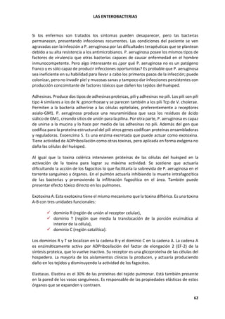 LAS ENTEROBACTERIAS
62
Si los enfermos son tratados los síntomas pueden desaparecer, pero las bacterias
permanecen, presentando infecciones recurrentes. Las condiciones del paciente se ven
agravadas con la infección a P. aeruginosa por las dificultades terapéuticas que se plantean
debido a su alta resistencia a los antimicrobianos. P. aeruginosa posee los mismos tipos de
factores de virulencia que otras bacterias capaces de causar enfermedad en el hombre
inmunocompetente. Pero algo interesante es ¿por qué P. aeruginosa no es un patógeno
franco y es sólo capaz de producir infecciones oportunistas? Es probable que P. aeruginosa
sea ineficiente en su habilidad para llevar a cabo los primeros pasos de la infección; puede
colonizar, pero no invadir piel y mucosas sanas y tampoco dar infecciones persistentes con
producción concomitante de factores tóxicos que dañen los tejidos del huésped.
Adhesinas. Produce dos tipos de adhesinas proteicas, pili y adhesinas no pili. Los pili son pili
tipo 4 similares a los de N. gonorrhoeae y se parecen también a los pili Tcp de V. cholerae.
Permiten a la bacteria adherirse a las células epiteliales, preferentemente a receptores
asialo-GM1. P. aeruginosa produce una neuraminidasa que saca los residuos de ácido
siálico de GM1, creando sitios de unión para la pilina. Por otra parte, P. aeruginosa es capaz
de unirse a la mucina y lo hace por medio de las adhesinas no pili. Además del gen que
codifica para la proteína estructural del pili otros genes codifican proteínas ensambladoras
y reguladoras. Exoenzima S. Es una enzima excretada que puede actuar como exotoxina.
Tiene actividad de ADPribosilación como otras toxinas, pero aplicada en forma exógena no
daña las células del huésped.
Al igual que la toxina colérica intervienen proteínas de las células del huésped en la
activación de la toxina para lograr su máxima actividad. Se sostiene que actuaría
dificultando la acción de los fagocitos lo que facilitaría la sobrevida de P. aeruginosa en el
torrente sanguíneo y órganos. En el pulmón actuaría inhibiendo la muerte intrafagocítica
de las bacterias y promoviendo la infiltración fagocítica en el área. También puede
presentar efecto tóxico directo en los pulmones.
Exotoxina A. Esta exotoxina tiene el mismo mecanismo que la toxina diftérica. Es una toxina
A-B con tres unidades funcionales:
✓ dominio R (región de unión al receptor celular),
✓ dominio T (región que media la translocación de la porción enzimática al
interior de la célula),
✓ dominio C (región catalítica).
Los dominios R y T se localizan en la cadena B y el dominio C en la cadena A. La cadena A
es enzimáticamente activa por ADPribosilación del factor de elongación 2 (EF-2) de la
síntesis proteica, que lo vuelve inactivo. Su receptor es una glicoproteína de las células del
hospedero. La mayoría de los aislamientos clínicos la producen, y actuaría produciendo
daño en los tejidos y disminuyendo la actividad de los fagocitos.
Elastasas. Elastina es el 30% de las proteínas del tejido pulmonar. Está también presente
en la pared de los vasos sanguíneos. Es responsable de las propiedades elásticas de estos
órganos que se expanden y contraen.
 