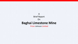 A
Brief Report
On
Baghai Limestone Mine
Prism Johnson Limited
 