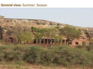 General view- Summer Season
 