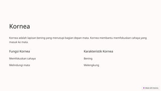 Kornea
Kornea adalah lapisan bening yang menutupi bagian depan mata. Kornea membantu memfokuskan cahaya yang
masuk ke mata.
Fungsi Kornea
Memfokuskan cahaya
Melindungi mata
Karakteristik Kornea
Bening
Melengkung
 