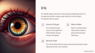 Iris
Iris adalah bagian berwarna mata yang mengelilingi pupil. Iris
mengontrol jumlah cahaya yang masuk ke mata dengan
mengubah ukuran pupil.
1 Kontrol Cahaya
Iris membuka pupil
untuk memungkinkan
lebih banyak cahaya
masuk saat gelap.
2 Warna Mata
Warna iris ditentukan
oleh jumlah melanin
yang terkandung di
dalamnya.
3 Bentuk Pupil
Iris menentukan bentuk pupil, yang biasanya bulat, tetapi
dapat bervariasi antar spesies.
 