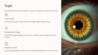 Pupil
Pupil adalah lubang hitam di tengah iris. Pupil memungkinkan cahaya masuk ke mata.
Ukuran Pupil
Pupil membesar dalam cahaya redup dan mengecil dalam cahaya terang.
Memasukkan Cahaya
Pupil bekerja seperti diafragma pada kamera, mengatur jumlah cahaya yang masuk
ke mata.
Pengaturan Otak
Ukuran pupil dikendalikan oleh otot-otot yang bekerja berdasarkan instruksi dari otak.
 
