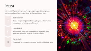 Retina
Retina adalah lapisan jaringan saraf yang melapisi bagian belakang mata.
Retina mengubah cahaya menjadi sinyal saraf yang dikirim ke otak.
Fotoreseptor
Retina mengandung sel-sel fotoreseptor yang peka terhadap
cahaya, yaitu sel batang dan sel kerucut.
Sinyal Saraf
Fotoreseptor mengubah cahaya menjadi sinyal saraf, yang
kemudian diteruskan ke sel-sel saraf lain di retina.
Saraf Optik
Sinyal saraf dari retina ditransmisikan ke otak melalui saraf optik.
 