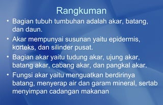 Rangkuman
• Bagian tubuh tumbuhan adalah akar, batang,
  dan daun.
• Akar mempunyai susunan yaitu epidermis,
  korteks, dan silinder pusat.
• Bagian akar yaitu tudung akar, ujung akar,
  batang akar, cabang akar, dan pangkal akar.
• Fungsi akar yaitu menguatkan berdirinya
  batang, menyerap air dan garam mineral, sertab
  menyimpan cadangan makanan
 