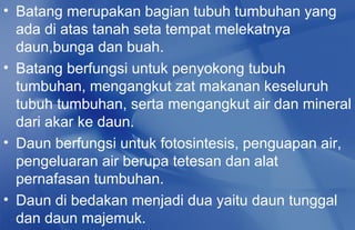 • Batang merupakan bagian tubuh tumbuhan yang
  ada di atas tanah seta tempat melekatnya
  daun,bunga dan buah.
• Batang berfungsi untuk penyokong tubuh
  tumbuhan, mengangkut zat makanan keseluruh
  tubuh tumbuhan, serta mengangkut air dan mineral
  dari akar ke daun.
• Daun berfungsi untuk fotosintesis, penguapan air,
  pengeluaran air berupa tetesan dan alat
  pernafasan tumbuhan.
• Daun di bedakan menjadi dua yaitu daun tunggal
  dan daun majemuk.
 