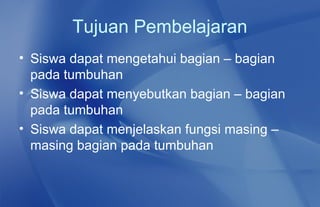 Tujuan Pembelajaran
• Siswa dapat mengetahui bagian – bagian
  pada tumbuhan
• Siswa dapat menyebutkan bagian – bagian
  pada tumbuhan
• Siswa dapat menjelaskan fungsi masing –
  masing bagian pada tumbuhan
 