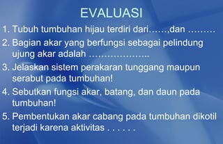 EVALUASI
1. Tubuh tumbuhan hijau terdiri dari……,dan ………
2. Bagian akar yang berfungsi sebagai pelindung
   ujung akar adalah ………………..
3. Jelaskan sistem perakaran tunggang maupun
   serabut pada tumbuhan!
4. Sebutkan fungsi akar, batang, dan daun pada
   tumbuhan!
5. Pembentukan akar cabang pada tumbuhan dikotil
   terjadi karena aktivitas . . . . . .
 