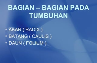 BAGIAN – BAGIAN PADA
      TUMBUHAN
• AKAR ( RADIX )
• BATANG ( CAULIS )
• DAUN ( FOLIUM )
 