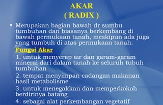 AKAR
                ( RADIX )
• Merupakan bagian bawah dr sumbu
  tumbuhan dan biasanya berkembang di
  bawah permukaan tanah, meskipun ada juga
  yang tumbuh di atas permukaan tanah.
  Fungsi Akar
  1. untuk menyerap air dan garam-garam
  mineral dari dalam tanah ke seluruh tubuh
  tumbuhan
  2. tempat menyimpan cadangan makanan
  hasil metabolisme
  3. untuk menegakkan dan memperkokoh
  berdirinya batang
  4. sebagai alat perkembangan vegetatif
 
