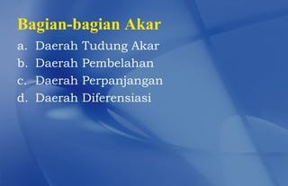 Bagian-bagian Akar
a.   Daerah   Tudung Akar
b.   Daerah   Pembelahan
c.   Daerah   Perpanjangan
d.   Daerah   Diferensiasi
 