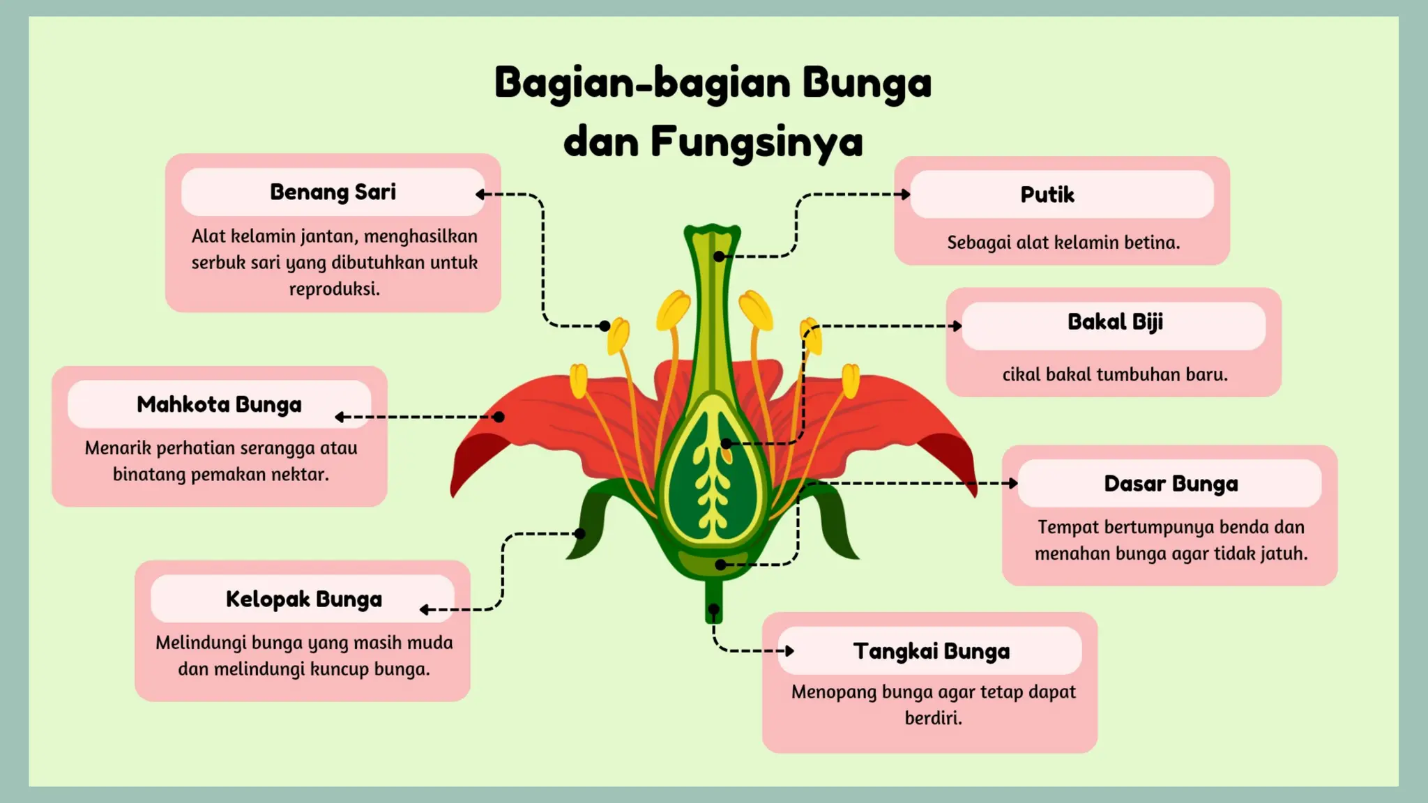 PPT materi tentang Bagian-bagian bunga dan fungsinya kelas IV Fase B | PPTX