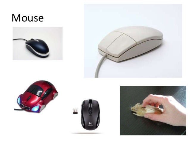 Bagian bagian komputer