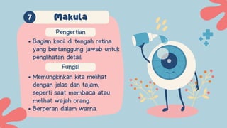 Fungsi
Memungkinkan kita melihat
dengan jelas dan tajam,
seperti saat membaca atau
melihat wajah orang.
Berperan dalam warna.
Pengertian
Bagian kecil di tengah retina
yang bertanggung jawab untuk
penglihatan detail.
Makula
 