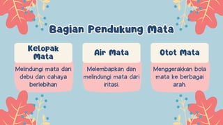 Bagian Pendukung Mata
Bagian Pendukung Mata
Kelopak
Mata
Air Mata Otot Mata
Melindungi mata dari
debu dan cahaya
berlebihan
Melembapkan dan
melindungi mata dari
iritasi.
Menggerakkan bola
mata ke berbagai
arah.
 
