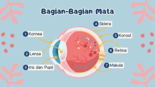 Lensa
Kornea Koroid
Sklera
Iris dan Pupil
Retina
Makula
Bagian-Bagian Mata
Bagian-Bagian Mata
 