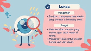 Pengertian
Fungsi
Memfokuskan cahaya yang
masuk agar jatuh tepat di
retina.
Mengatur fokus untuk melihat
benda jauh dan dekat.
Lensa
Struktur transparan dan elastis
yang berada di belakang pupil.
 