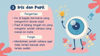 Pengertian
Fungsi
Membatasi jumlah cahaya agar
tidak terlalu banyak atau
terlalu sedikit.
Iris di bagian berwarna yang
mengontrol ukuran pupil.
Pupil di lubang tengah iris yang
mengatur jumlah cahaya yang
masuk ke mata.
Iris dan Pupil
 