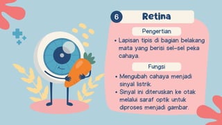 Fungsi
Mengubah cahaya menjadi
sinyal listrik.
Sinyal ini diteruskan ke otak
melalui saraf optik untuk
diproses menjadi gambar.
Pengertian
Retina
Lapisan tipis di bagian belakang
mata yang berisi sel-sel peka
cahaya.
 