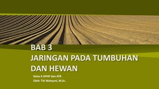 BAB 3
JARINGAN PADA TUMBUHAN
DAN HEWAN
Kelas X APHP dan ATR
Oleh: Titi Wahyuni, M.Sc.
 