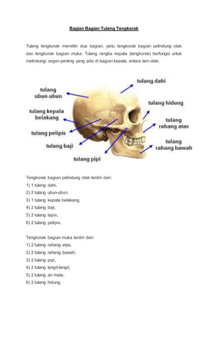 Bagian Bagian Tulang Tengkorak
Tulang tengkorak memiliki dua bagian, yaitu tengkorak bagian pelindung otak
dan tengkorak bagian muka. Tulang rangka kepala (tengkorak) berfungsi untuk
melindungi organ penting yang ada di bagian kepala, antara lain otak.
Tengkorak bagian pelindung otak terdiri dari:
1) 1 tulang dahi,
2) 2 tulang ubun-ubun,
3) 1 tulang kepala belakang,
4) 2 tulang baji,
5) 2 tulang tapis,
6) 2 tulang pelipis.
Tengkorak bagian muka terdiri dari:
1) 2 tulang rahang atas,
2) 2 tulang rahang bawah,
3) 2 tulang pipi,
4) 2 tulang langit-langit,
5) 2 tulang air mata,
6) 2 tulang hidung.
 