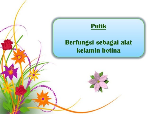 Bagian Bunga Dan Fungsinya
