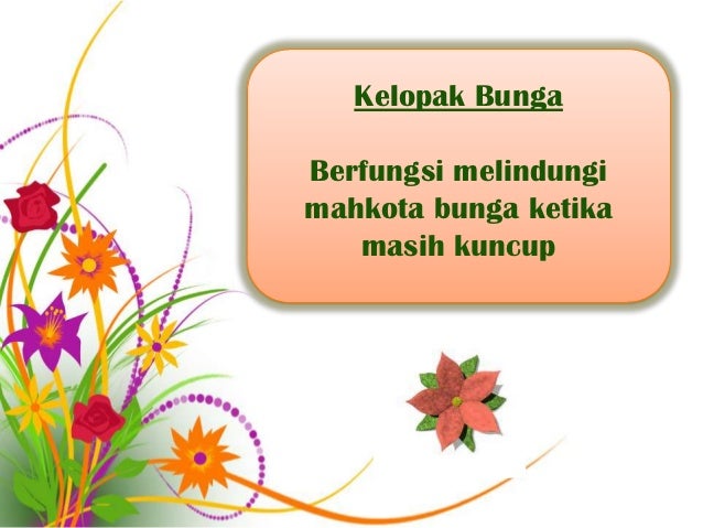 Bagian bunga dan fungsinya Bagian bunga dan fungsinya
