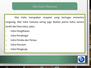 Alat Indra Manusia
Alat Indra merupakan reseptor yang bertugas menerima
rangsang. Alat indra manusia sering juga disebut panca indra, karena
terdiri dari lima indra, yaitu:
1. Indra Penglihatan
2. Indra Pendengar
3. Indra Peraba dan Perasa
4. Indra Pencium
5. Indra Pengecap
 