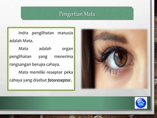 Pengertian Mata
Indra penglihatan manusia
adalah Mata.
Mata adalah organ
penglihatan yang menerima
rangsangan berupa cahaya.
Mata memiliki reseptor peka
cahaya yang disebut fotoreseptor.
 