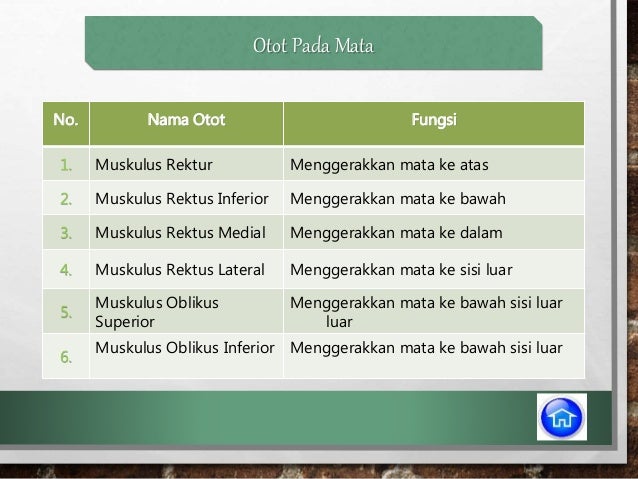 Bagian Mata Dan Fungsinya - just4udakar.com